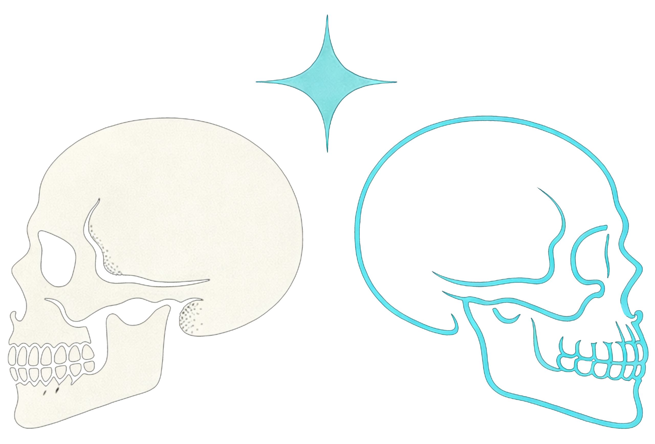 final logo no text cropped